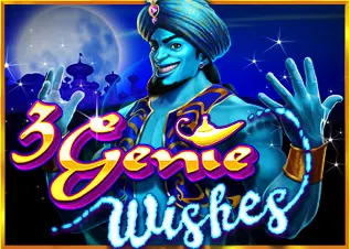 3 Genie Wishes